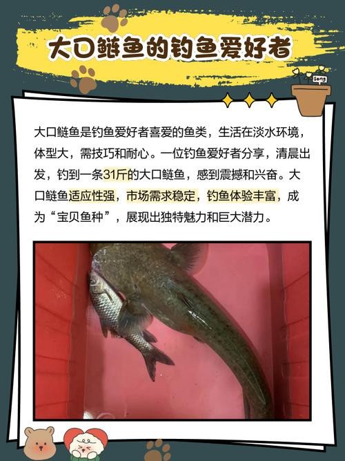 大嘴魚的真實照片