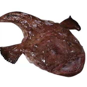 大嘴魚的真實照片
