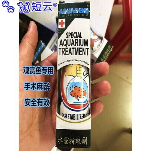 龍魚麻藥過量會導致死亡嗎圖片