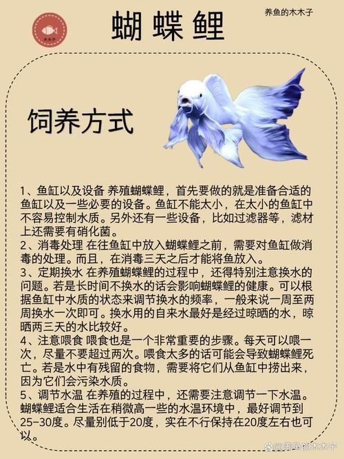 蝴蝶鯉成長過程圖