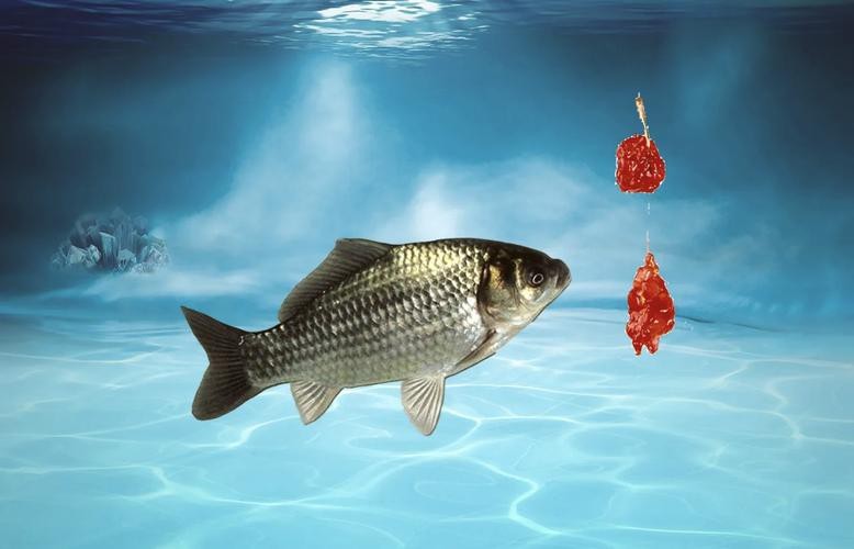 魚圖片大全大圖真實