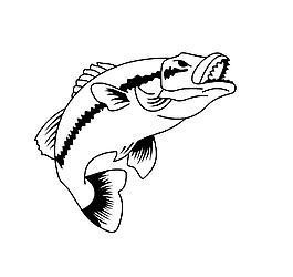 魚圖片大全大圖真實