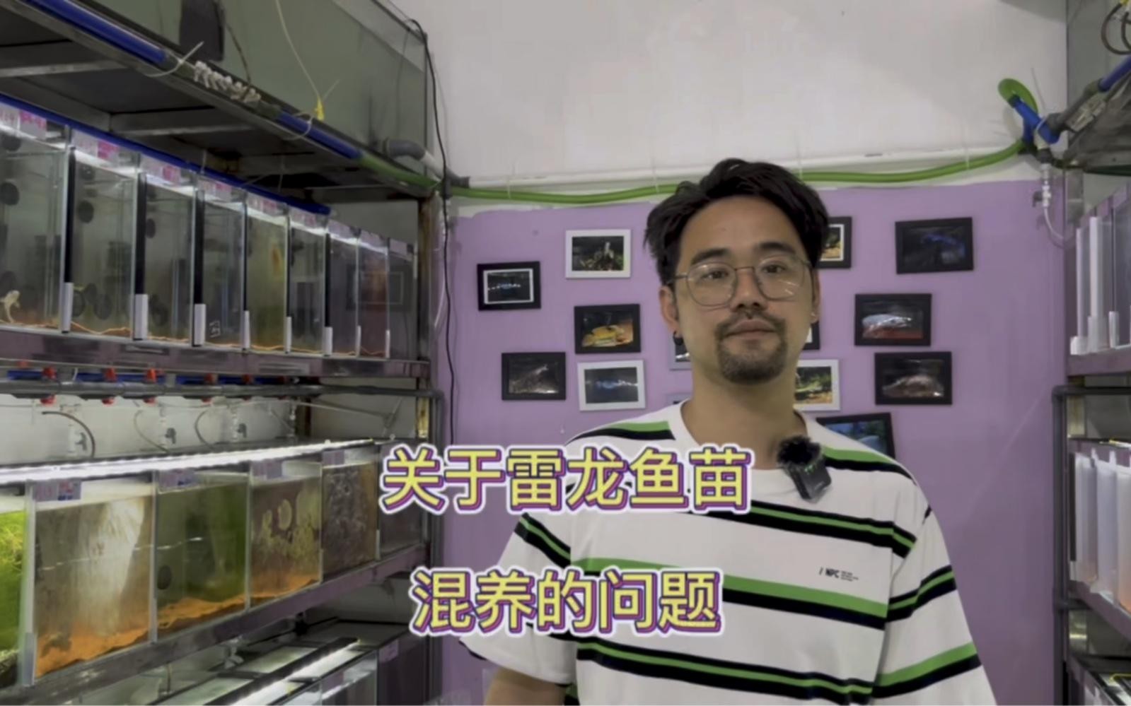 雷龍魚混養的最佳搭配是什么
