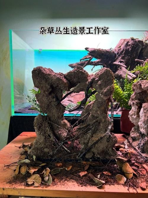 雷龍魚混養的最佳搭配是什么