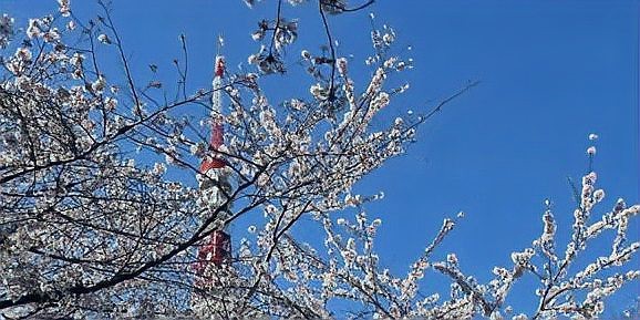 大正養士,昭和養鬼,平成養豚