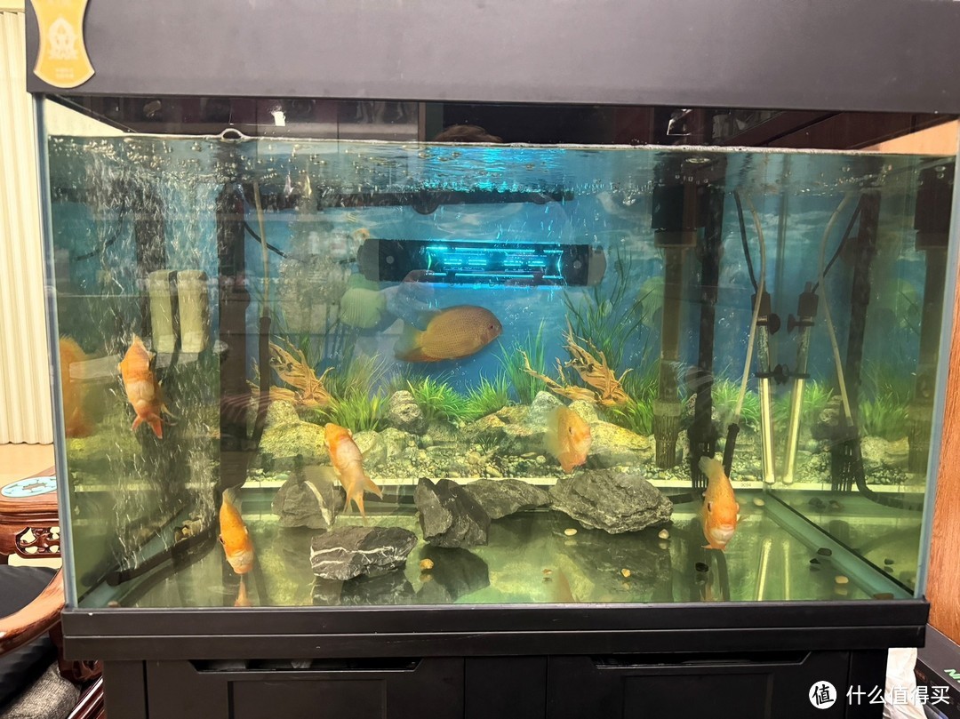 陽江市江城海洋水族館（陽江市江城海洋水族館電話）