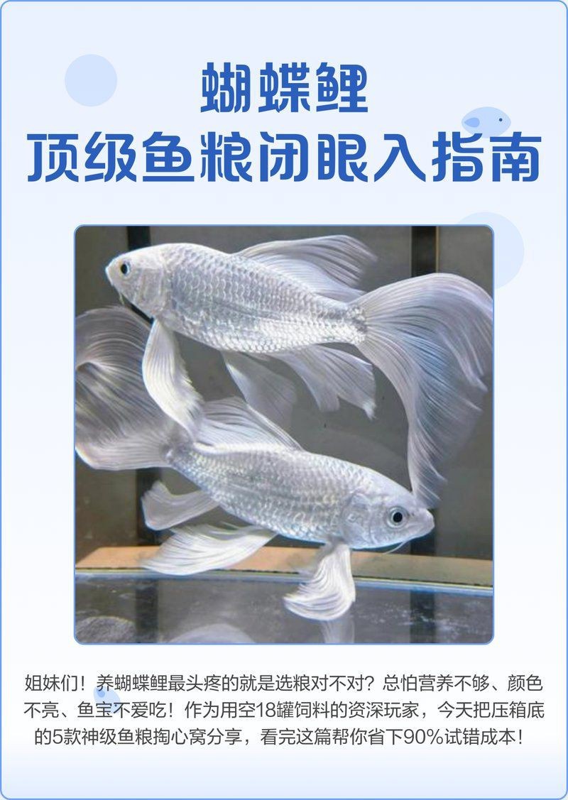 蝴蝶鯉魚飼料排名前十名