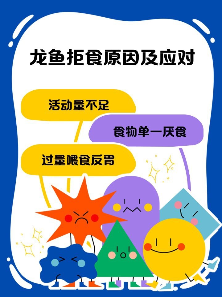 龍魚突然不吃食解決狀態