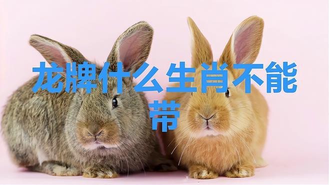 哪些生肖不適合擺放龍飾？