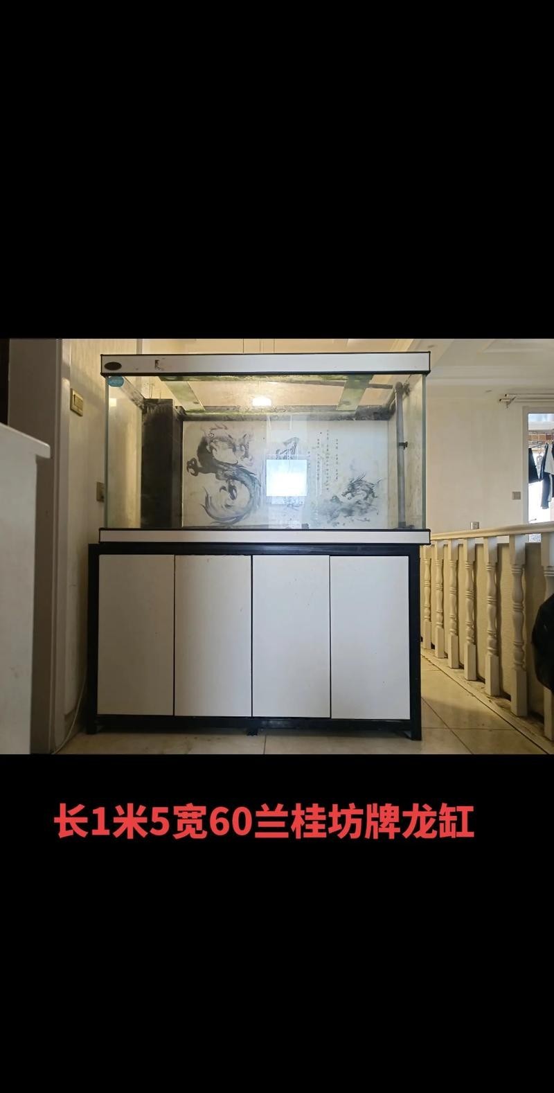 龍魚缸的最佳尺寸圖