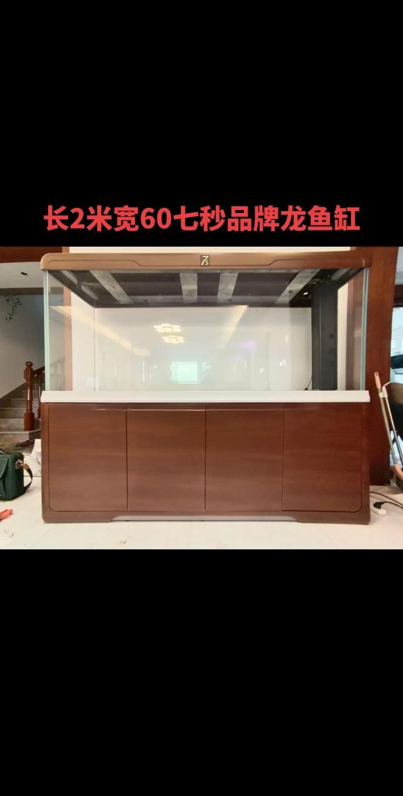 龍魚缸的最佳尺寸圖