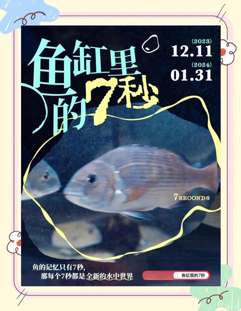 七秒魚(yú)缸和愛(ài)唯希那個(gè)好