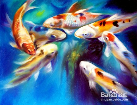 茅箭區(qū)朝陽路新新水族經(jīng)營部（茅箭區(qū)朝陽路新新水族經(jīng)營部地址）