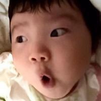 紅磚養(yǎng)魚有害嗎