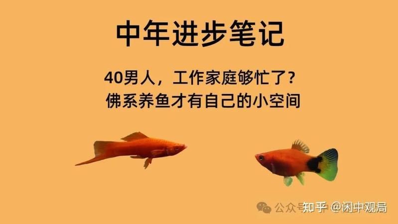 紅磚養(yǎng)魚有害嗎