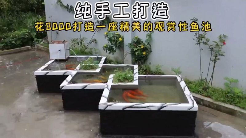 紅磚養(yǎng)魚有害嗎
