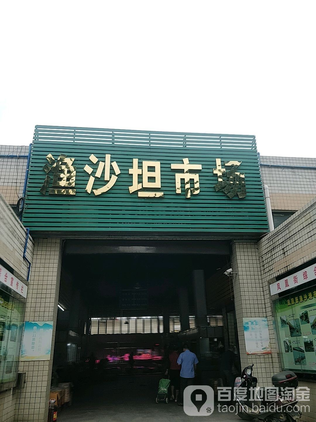 廣州哪里批發銀龍魚市場便宜的
