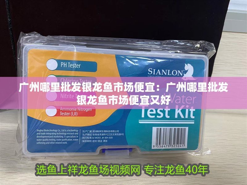 廣州哪里批發銀龍魚市場便宜的