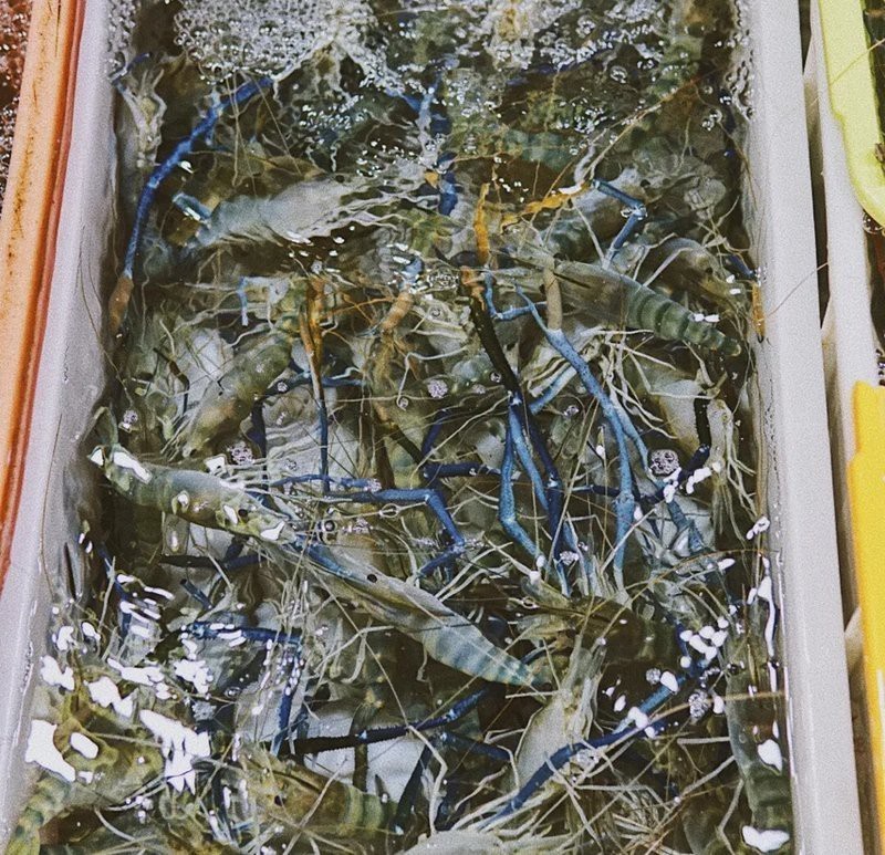 深圳最大的觀賞魚市場(chǎng)