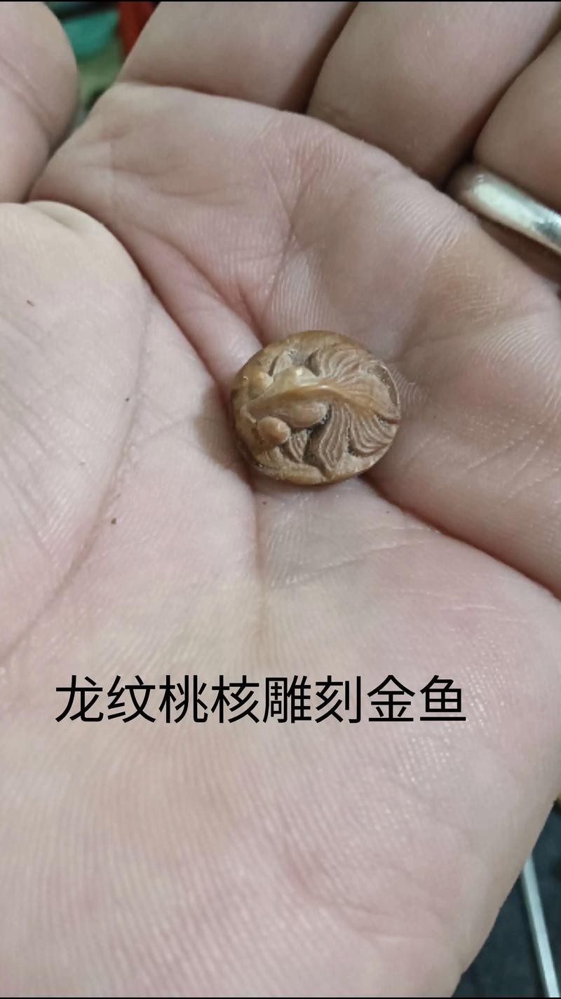 金魚雕刻圖片大全 金魚雕刻圖片大全 龍魚論壇 第2張