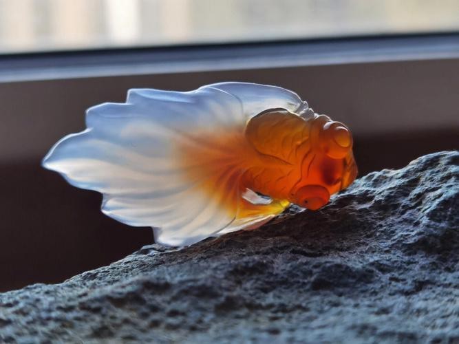 金魚雕刻圖片大全 金魚雕刻圖片大全 龍魚論壇 第16張