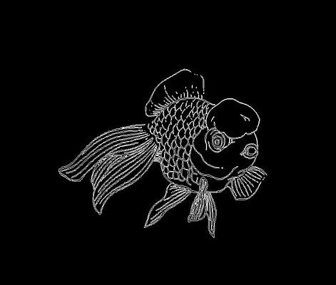 金魚雕刻圖片大全 金魚雕刻圖片大全 龍魚論壇 第31張