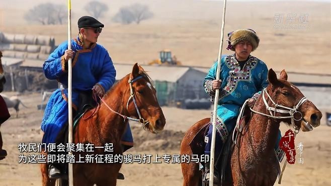 龍魚缸用什么燈是黃色的呢圖片