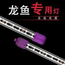 紅龍照明的價格范圍是多少？