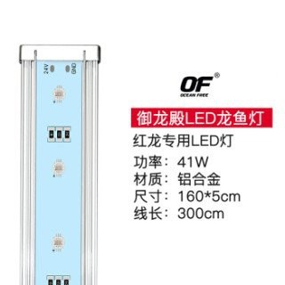 紅龍照明的價格范圍是多少？