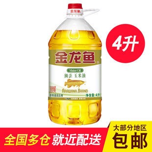 銀龍魚適應的水溫多少度合適(銀龍魚適應水溫是多少) 銀龍魚適應的水溫多少度合適(銀龍魚適應水溫是多少) 銀龍魚百科