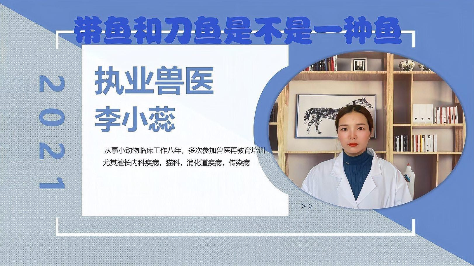 刀魚與帶魚區別 刀魚與帶魚區別 龍魚論壇 第1張