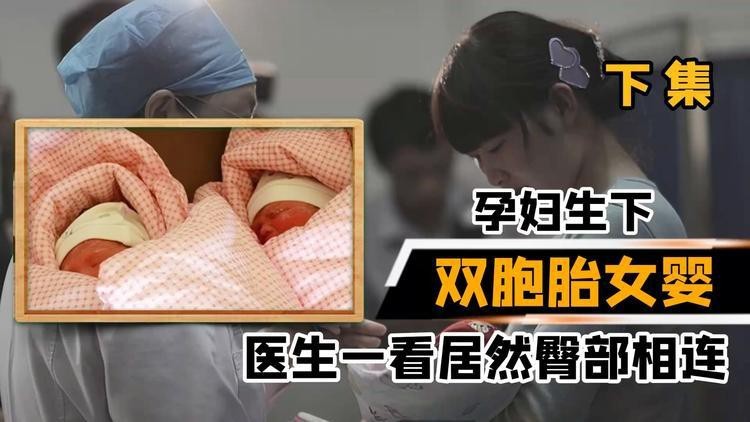 雙生器官外觀視頻