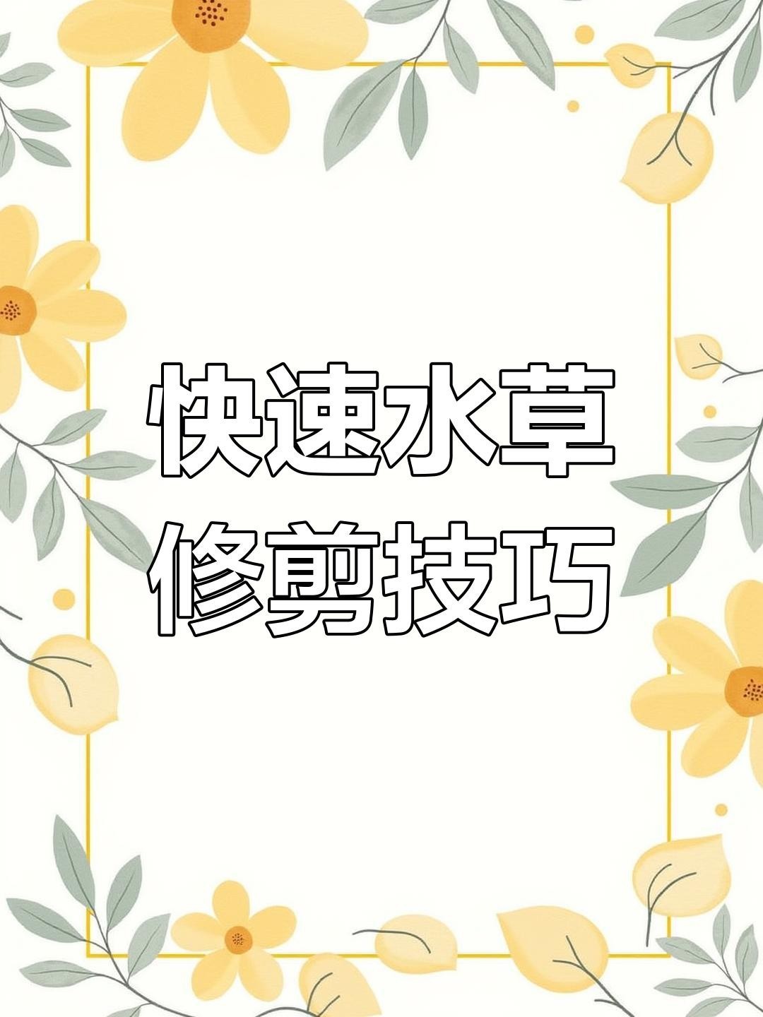 龍魚缸水草多久需要修剪？