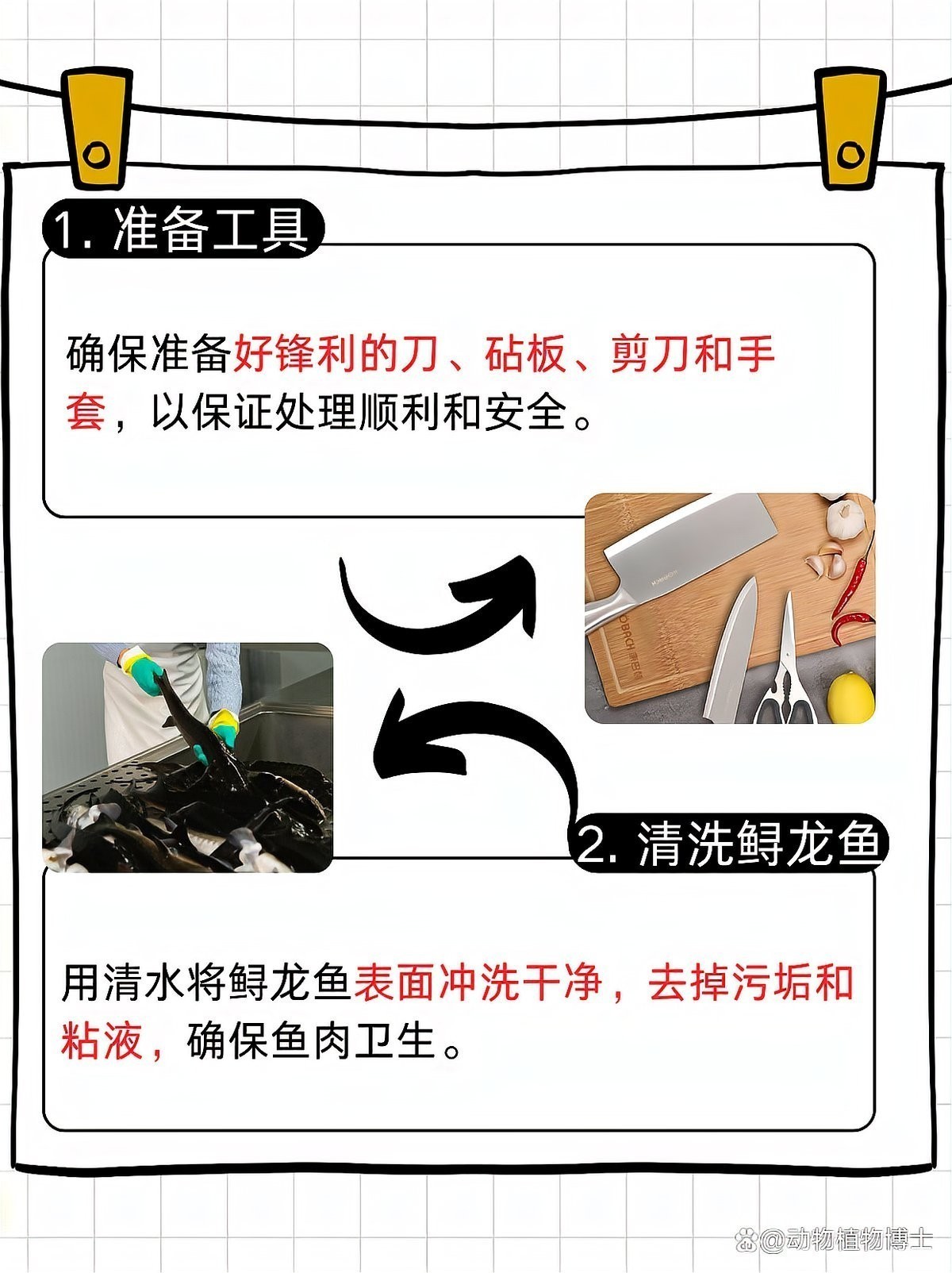 鱘龍魚的家常做法大全