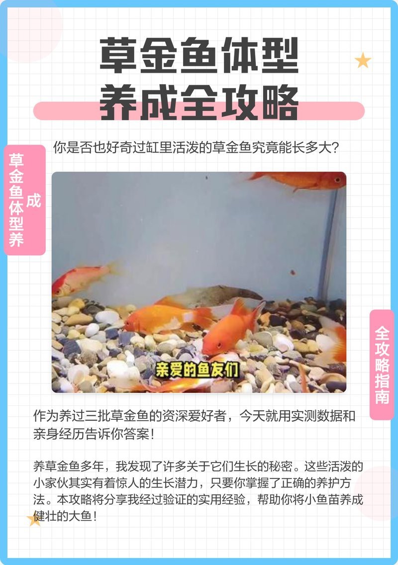 草金魚一個月能長幾厘米