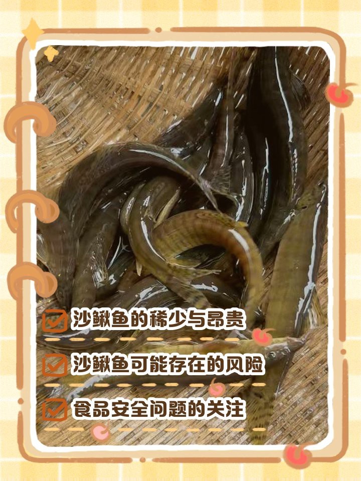 沙鰍魚為何要盡量少吃