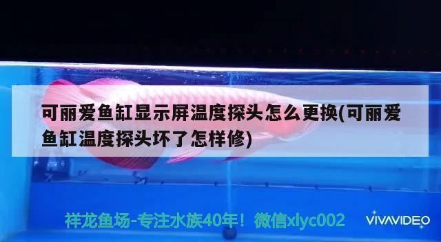 <strong><mark>伊州</mark></strong>區徐會麗魚缸專營店
