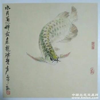 榆林魚缸女尸案件最新進展圖片高清(榆林拋尸案)