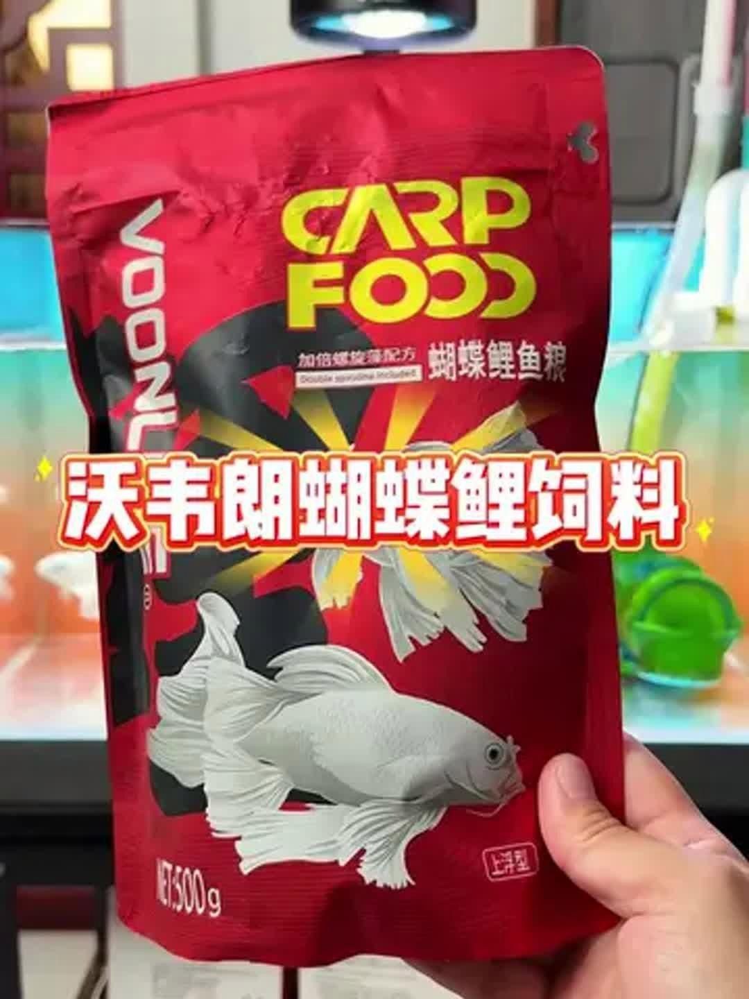 蝴蝶鯉專用飼料哪個好