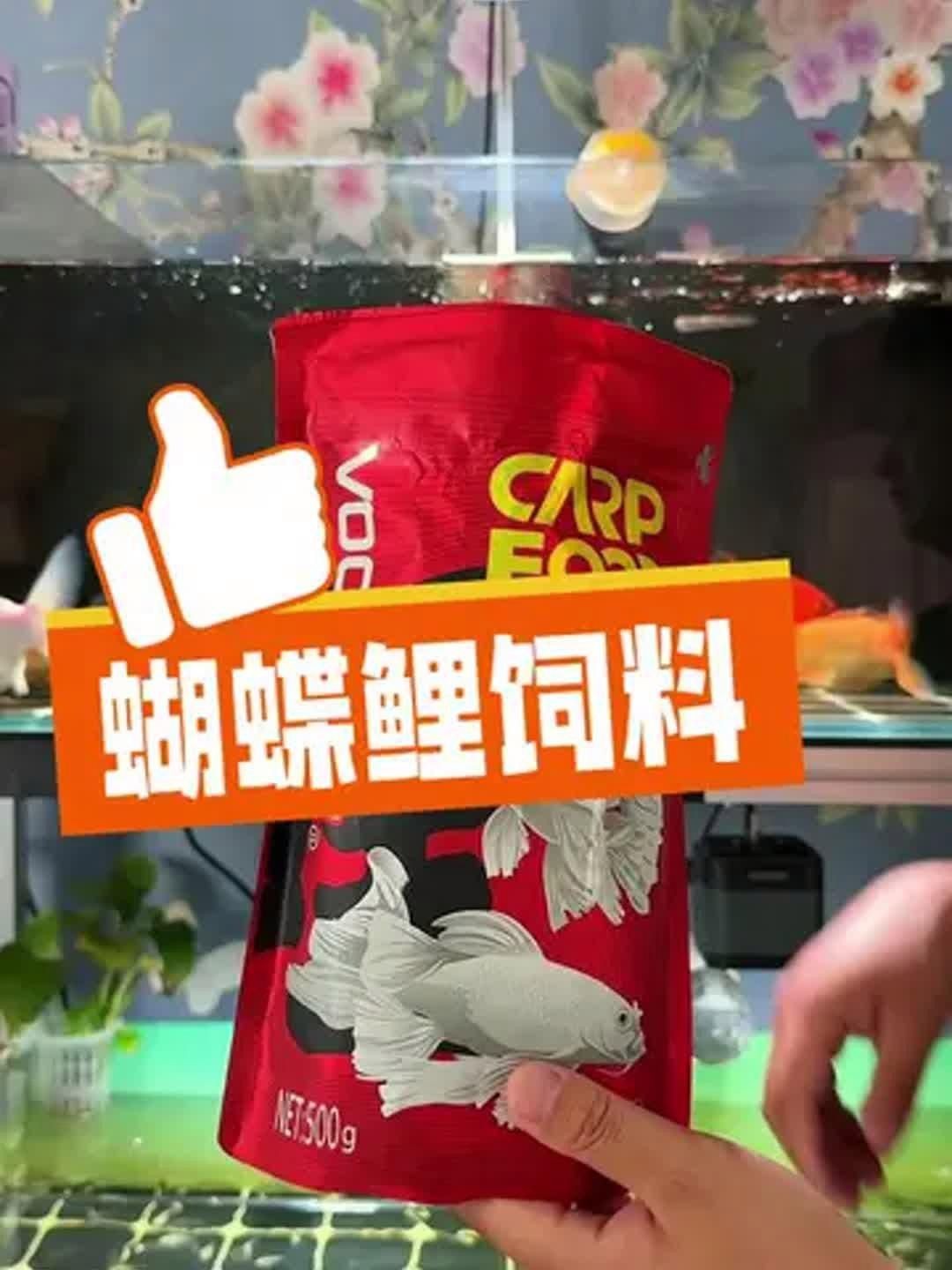 蝴蝶鯉專用飼料哪個好