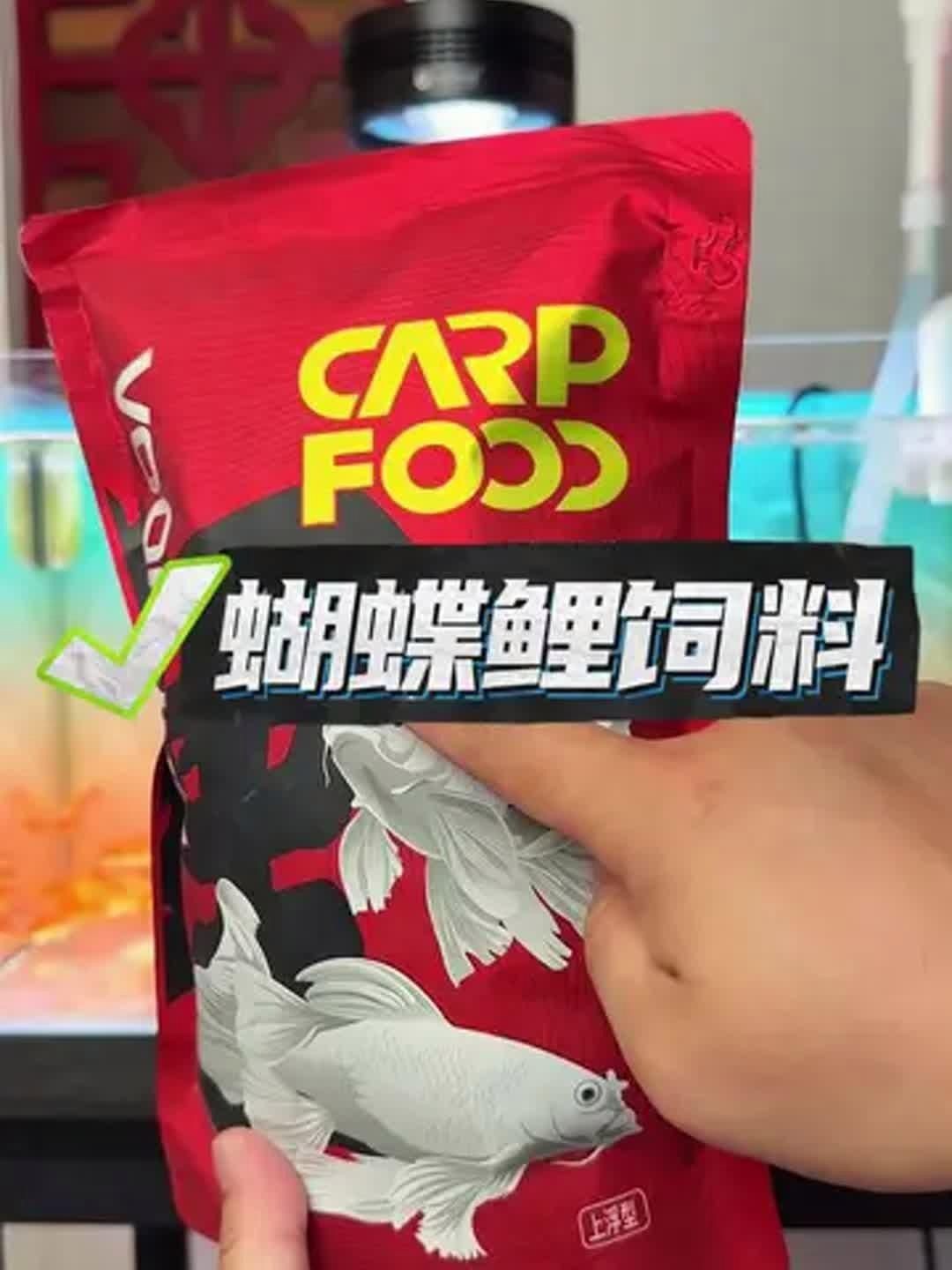 蝴蝶鯉專用飼料哪個好
