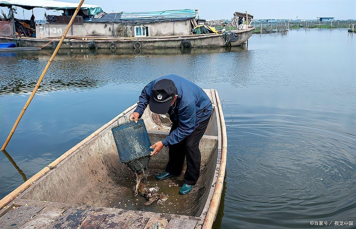 水深2米一畝可養多少魚 水深2米一畝可養多少魚 龍魚論壇 第1張