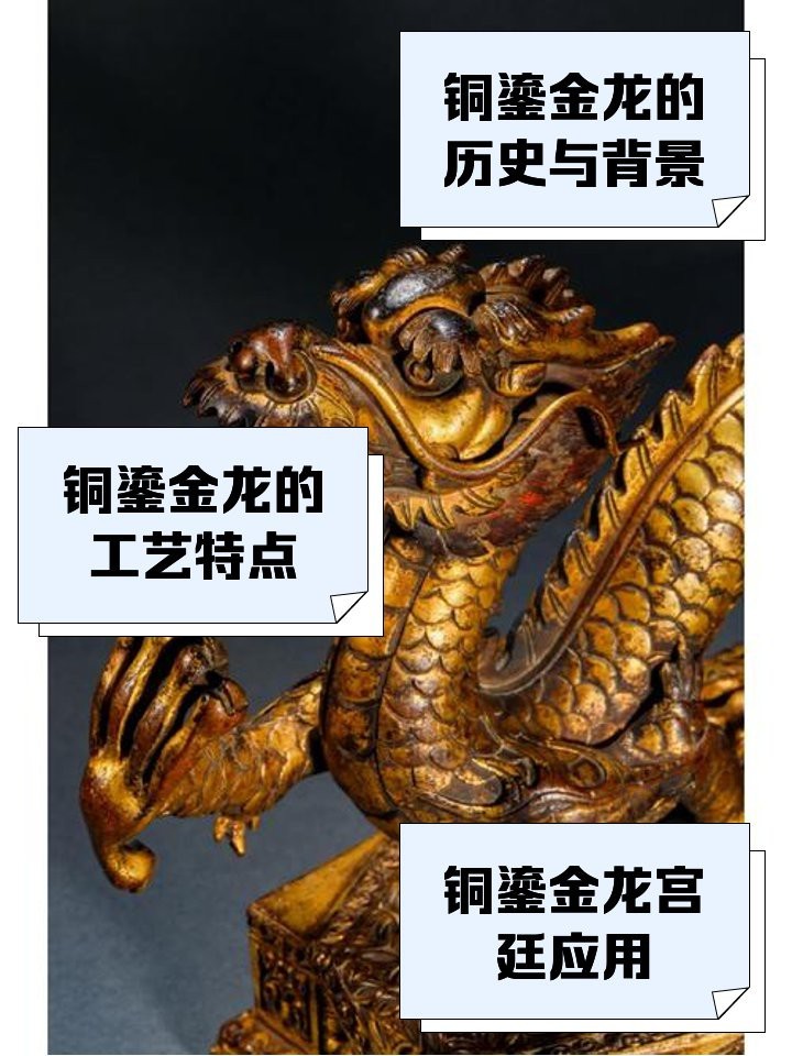 金頭古龍特點簡介