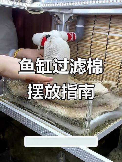 龍魚缸濾材搭配方法圖片