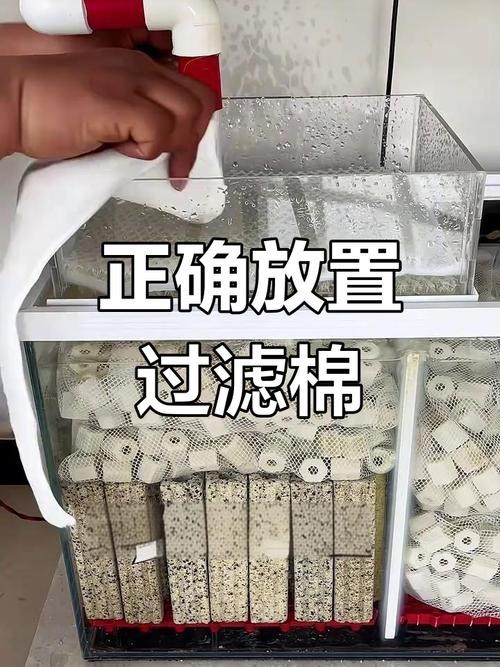 龍魚缸濾材搭配方法圖片