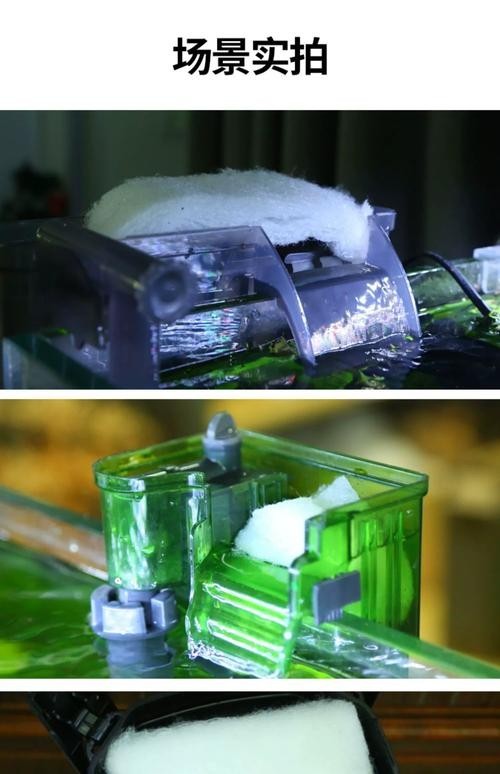 龍魚缸濾材搭配方法圖片