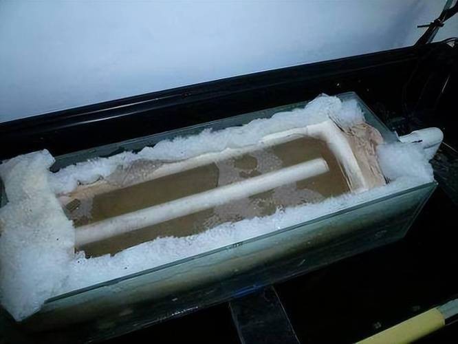 龍魚缸濾材搭配方法圖片