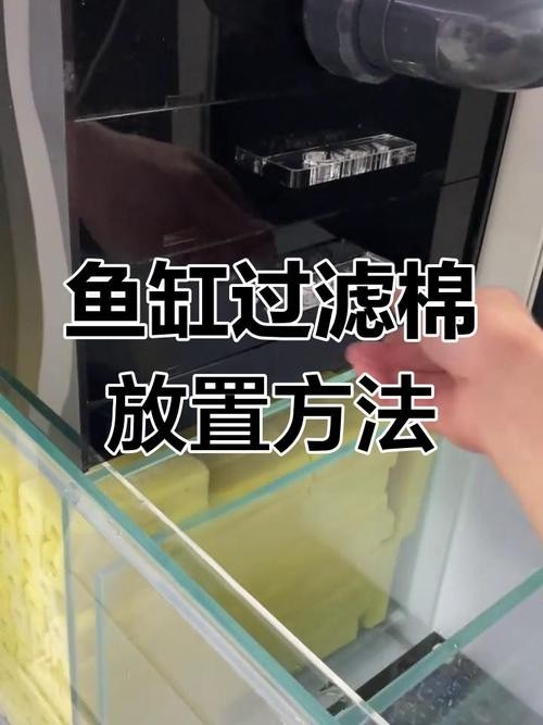 龍魚缸濾材搭配方法圖片