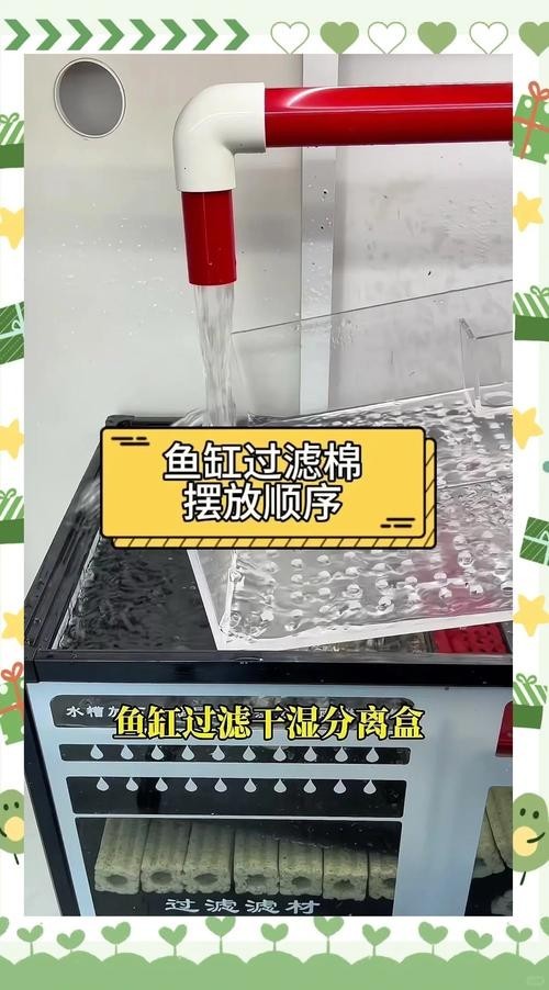 龍魚缸濾材搭配方法圖片