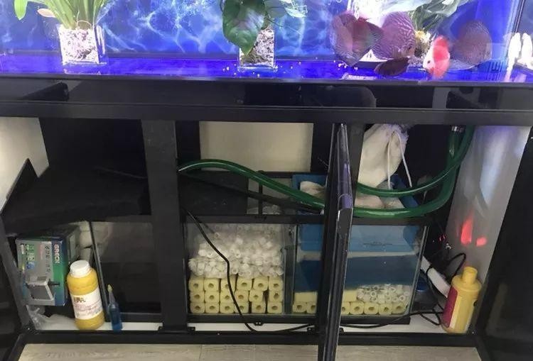 龍魚缸濾材搭配方法圖片